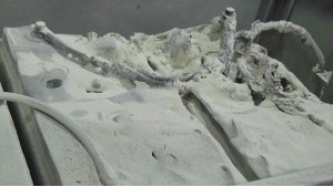 你知道蓄電池過(guò)放電是什么原理嗎？